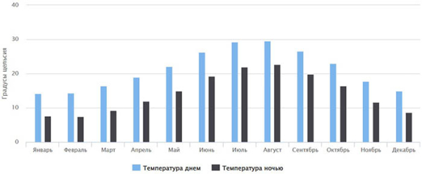 Эльче город, Испания. Где на карте, достопримечательности